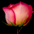 :iconmindseye91: