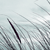 :iconmindthings: