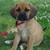 mindy244 :iconmindy244: