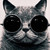 :iconmindzspade: