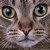 :iconminecraft0004: