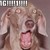 :iconminecraft589: