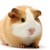 :iconminecraftgirl1011: