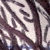 :iconminemorningglory: