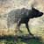 :iconmineralphotography: