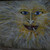 :iconminervanv: