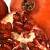 :iconmines2grenadine:
