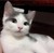 :iconmineworker: