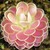 :iconminhvirua112: