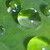 :iconmini-artist26: