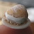 :iconminiaturebaker: