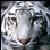 :iconminiaussielover8: