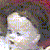 :iconminibrit: