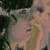 :iconminimamoralia13: