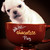 :iconminipug: