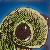 :iconminmoot: