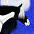 :iconminnantila: