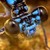 :iconminnowlord: