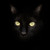 :iconminordetail8: