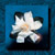 :iconminorhero: