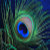 :iconminpin: