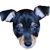 minpinplz :iconminpinplz: