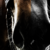 :iconminqr: