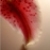 :iconmint-berry-flavor:
