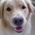 :iconmint-milkshake: