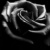 :iconminther: