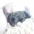 :iconmintley8: