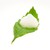 :iconmintree:
