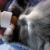 :iconminttruffle: