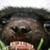 :iconmintysmile: