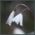 :iconminusch: