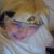 :iconminutesofcosplay: