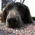 :iconmira-pira-chan:
