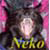 :iconmira-water-ninja: