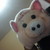 :iconmiracle15: