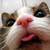 :iconmiranda-young: