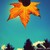 :iconmirandaseyephoto: