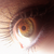 :iconmirandasmenagerie: