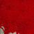 :iconmirandavonpanda:
