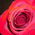 :iconmire09: