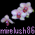 :iconmirelush86: