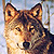 :iconmirkawolf: