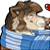 :iconmirko-o: