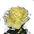 :iconmirljana: