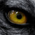 :iconmirlobluefeather: