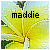 :iconmirroredvanity: